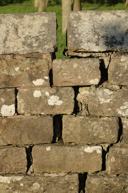 Stone Wall Repair in Denver County, CO